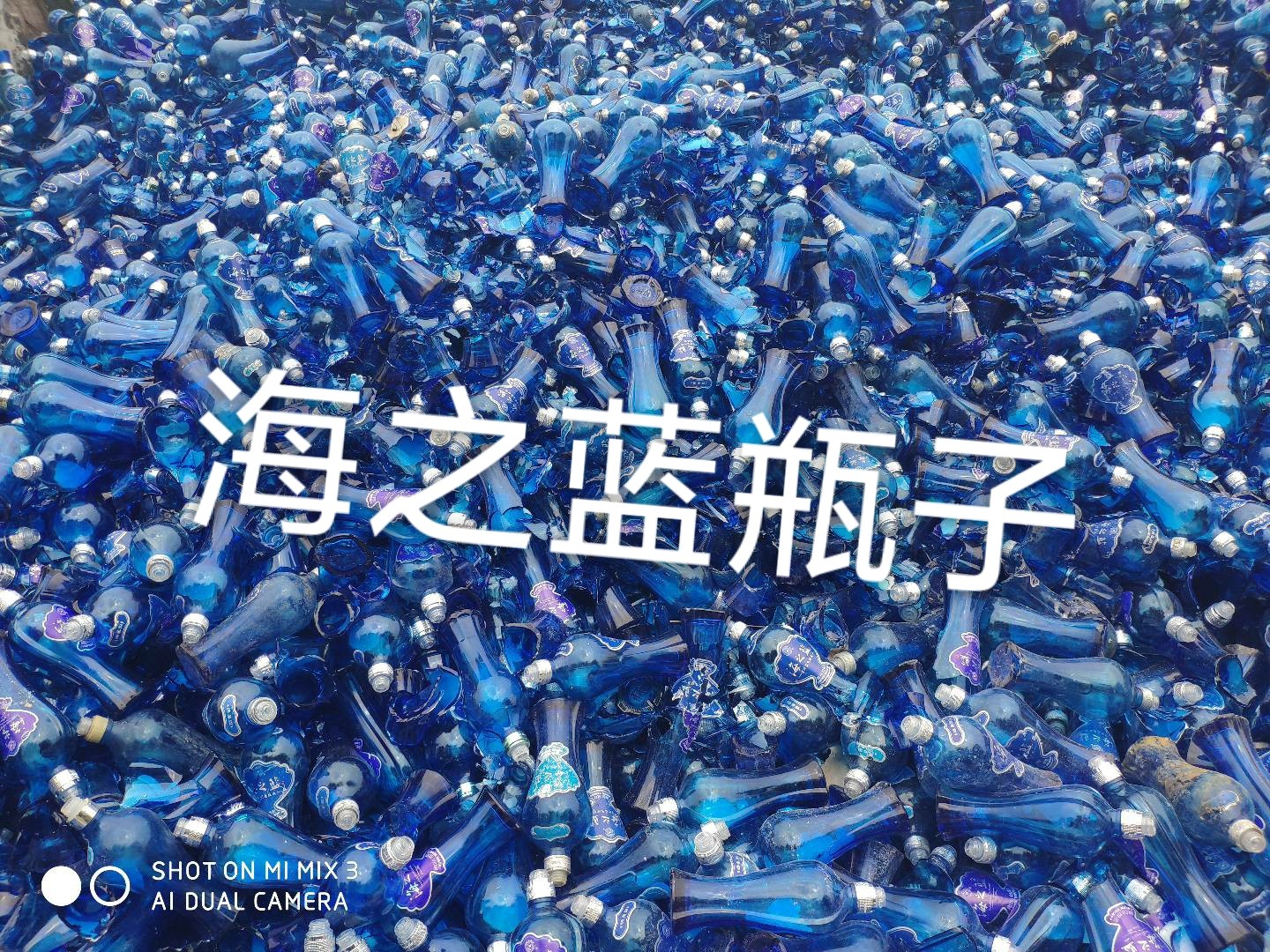 吴中区海之蓝瓶回收