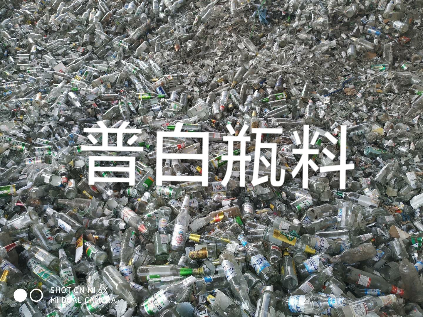 吴中区普白瓶料回收